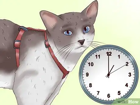 Imagen titulada Leash Train a Cat Step 4