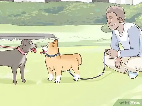 Imagen titulada Calm an Aggressive Dog Step 10