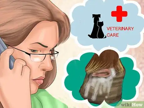 Imagen titulada Treat a Hoof Abscess in Horses Step 6