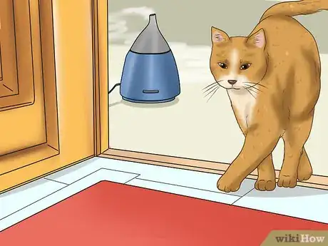 Imagen titulada Calm Your Cat with Aromatherapy Step 17
