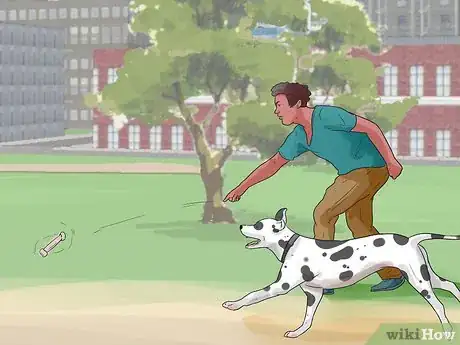 Imagen titulada Care for a Dalmatian Step 6