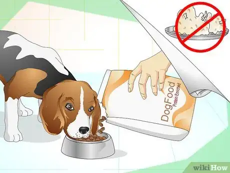 Imagen titulada Heal Ear Infections in Dogs Step 6