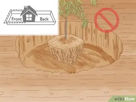 Imagen titulada Choose Plants for Good Feng Shui Step 6