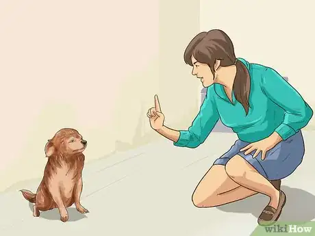 Imagen titulada Adopt a Dog Step 11