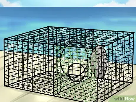 Imagen titulada Catch Lobsters Step 9