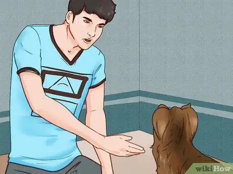 Imagen titulada Train a Yorkie Step 17