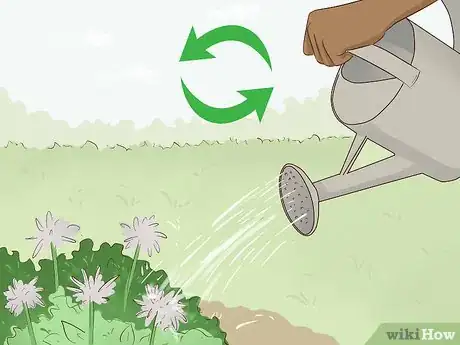 Imagen titulada Create a Rain Garden Step 15.jpeg