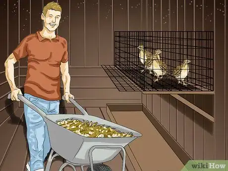 Imagen titulada Raise Quail Step 19