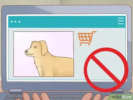Imagen titulada Buy a Dog Step 5
