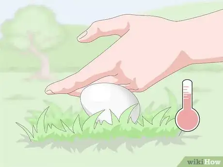 Imagen titulada Tell if Duck Eggs Are Dead or Alive Step 12