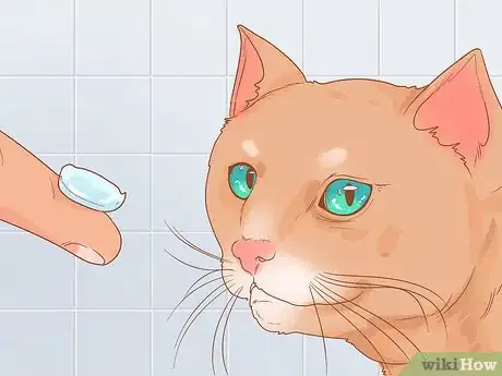 Imagen titulada Diagnose and Treat Gingivitis in Cats Step 10