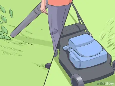 Imagen titulada Eliminate a Flea Infestation in Your Home Step 10