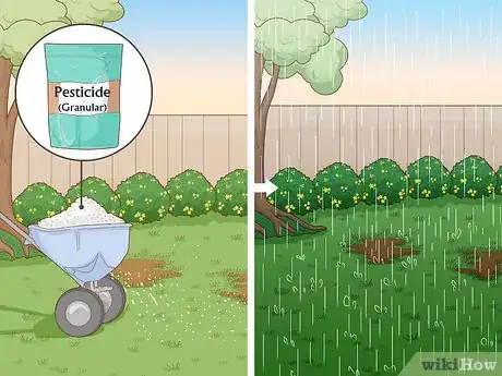 Imagen titulada Remove White Grubs from Lawns Step 5