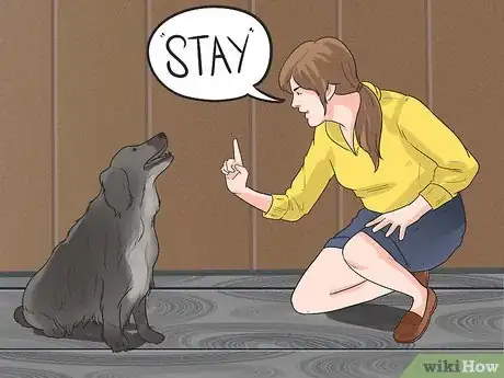 Imagen titulada Train Border Collies Step 1