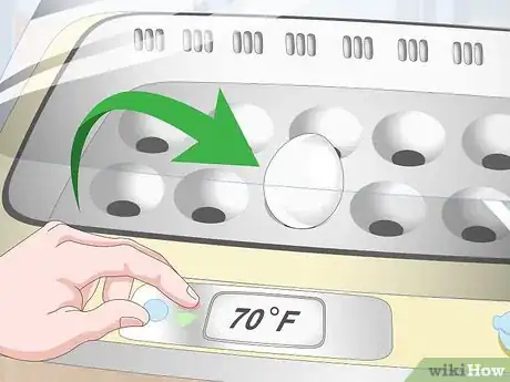 Imagen titulada Tell if Duck Eggs Are Dead or Alive Step 15