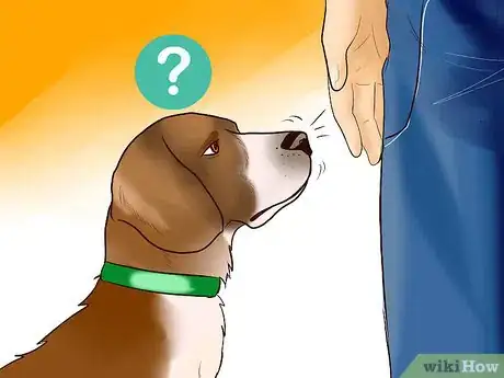 Imagen titulada Identify a Beagle Step 6