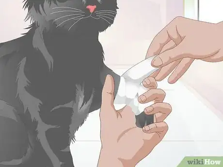 Imagen titulada Treat Fractures in Cats Step 10