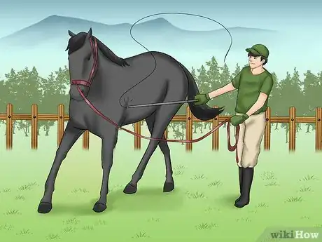 Imagen titulada Teach Your Horse to Lunge Step 6