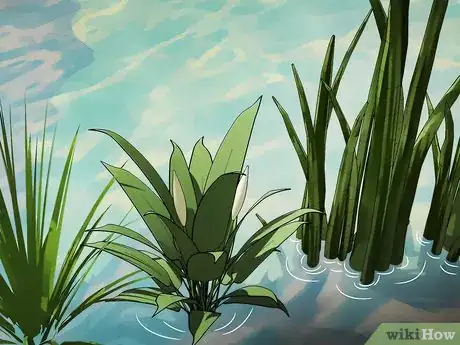Imagen titulada Attract Dragonflies Step 4