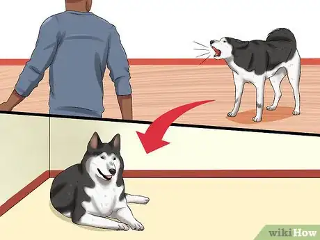 Imagen titulada Train Your Dog to Be Calm Step 7