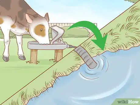 Imagen titulada Care for Cattle Step 8