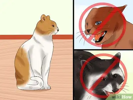 Imagen titulada Tell if a Cat Has Rabies Step 10