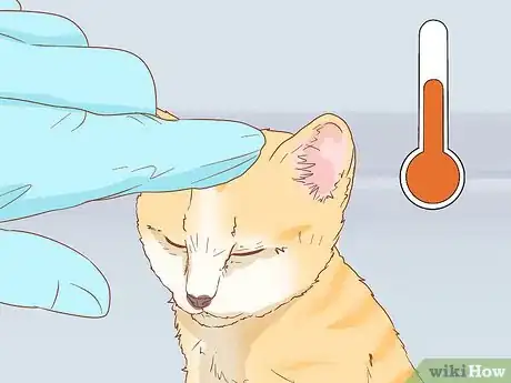 Imagen titulada Get a Kitten to Fall Asleep Step 13