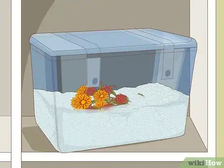 Imagen titulada Preserve a Corsage Step 8