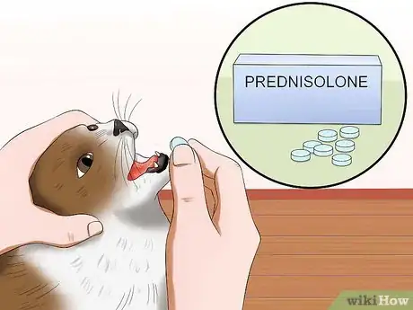 Imagen titulada Stop a Cat from Pulling Its Hair Out Step 5