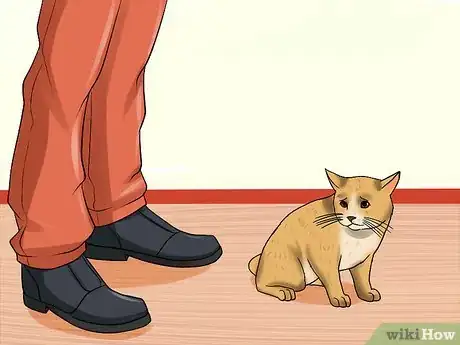 Imagen titulada Spot the Signs of Cat Abuse Step 11