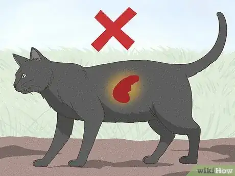 Imagen titulada Help a Cat with Epileptic Seizures Step 9