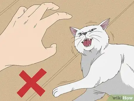 Imagen titulada Help a Cat with Epileptic Seizures Step 2