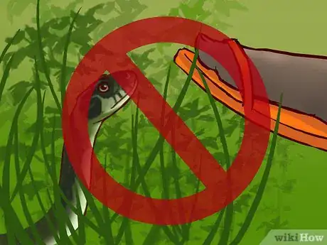 Imagen titulada Treat a Snake Bite Step 22