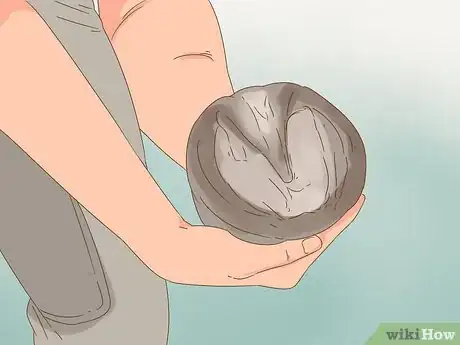 Imagen titulada Trim Horse Hooves Step 5
