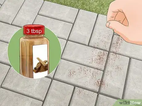 Imagen titulada Keep Gnats Away from Your Face Step 7