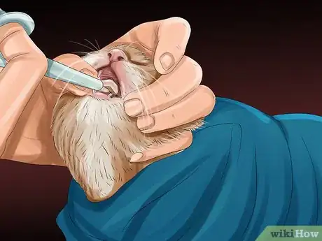 Imagen titulada Give Gabapentin to Cats with Cancer Step 8