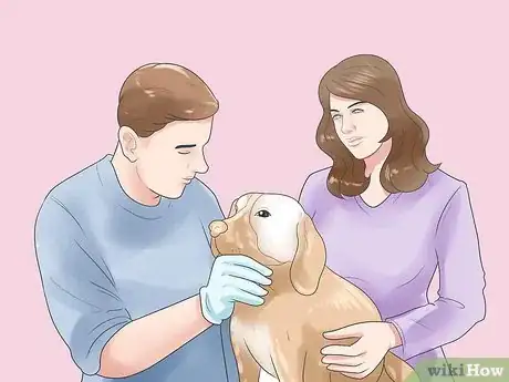 Imagen titulada Treat Dog Bite Wounds on Dogs Step 11