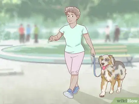 Imagen titulada Keep an Australian Shepherd Busy Step 4