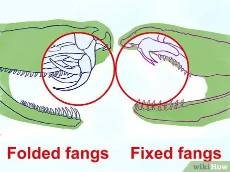 Imagen titulada Treat a Snake Bite Step 20