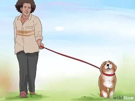 Imagen titulada Stop Dogs from Eating Dog Poop Step 4