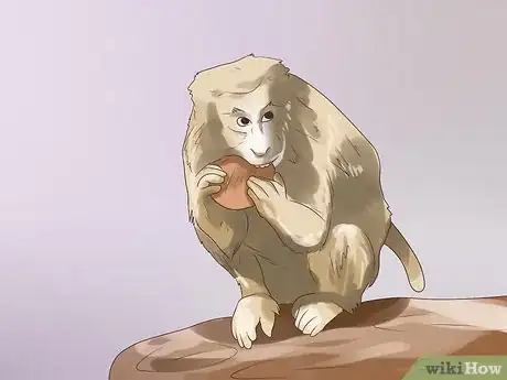 Imagen titulada Take Care of a Monkey Step 10