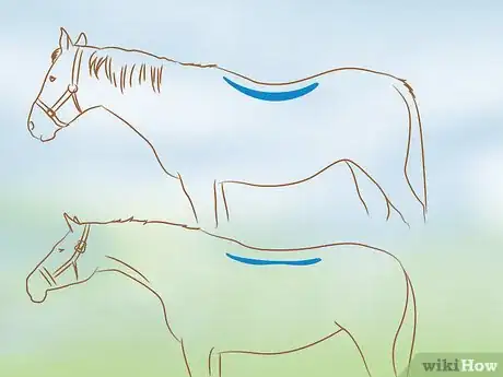 Imagen titulada Fit a Western Saddle Step 3