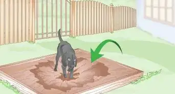 evitar que tu perro cave debajo de la cerca