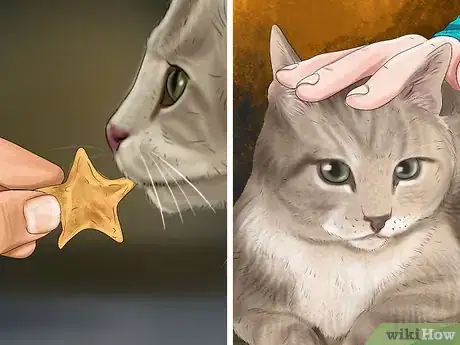 Imagen titulada Give Gabapentin to Cats with Cancer Step 4