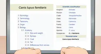 clasificar animales