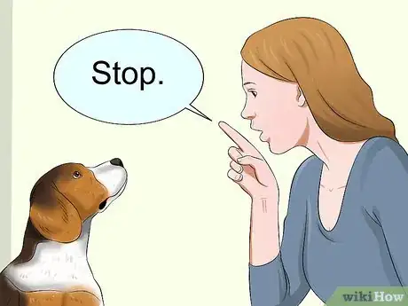 Imagen titulada Train Your Dog to Be Calm Step 1