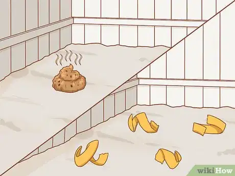 Imagen titulada Stop a Dog from Digging Step 5