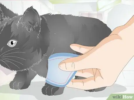 Imagen titulada Take Care of a Kitten with a Broken Leg Step 9