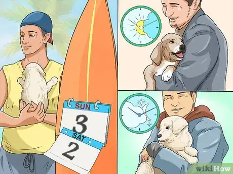 Imagen titulada Care for a Puppy when You Work Full Time Step 8