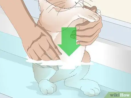 Imagen titulada Keep Your Rabbit's Fur Clean and Untangled Step 15